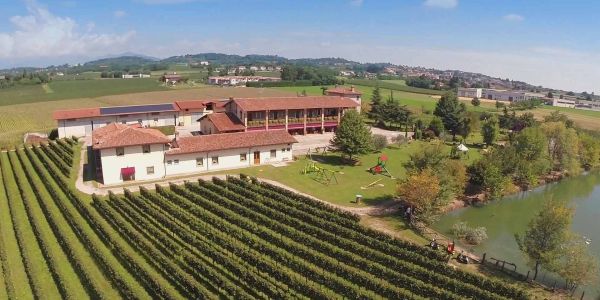 Vigneti - Agriturismo Cascina Carretto